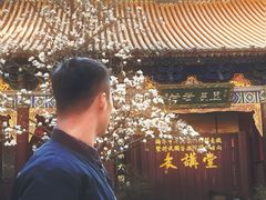 -真庆观