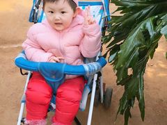 -北戴河集发农业梦想王国