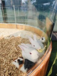 -可可天空农场(中大店)