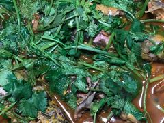 -正味如家饺子家常菜