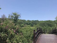 -苏州上方山国家森林公园