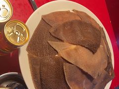 -二荆条·蜀鲜汇城市森林火锅