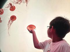 -沈阳海洋探索中心