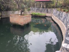 -千滋百味·醉江澜花园餐厅(街道口店)