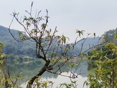 -南国桃园旅游度假区