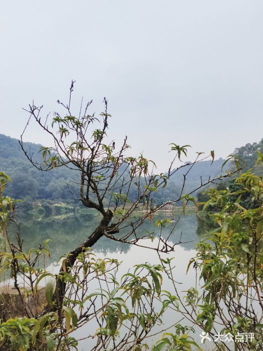 南国桃园旅游度假区图片
