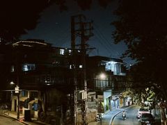 -溪岸路花鸟市场