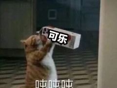 -红大哥水门鸡饭(總店)