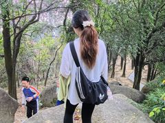 -火炉山森林公园