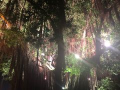 -闽江夜游台江旅游码头