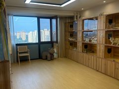 -猫十亿·布偶金渐层·曼基康矮脚猫舍(青年路店)