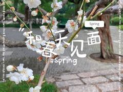 -莘庄公园