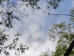 -重庆贝迪颐园温泉旅游度假区