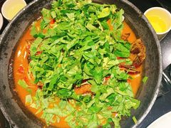 -不炭白烧烤(成都首店)