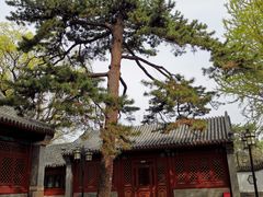 -北京鹫峰国家森林公园