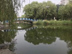 -满都海公园
