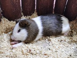 -Zoolung Zoolung动物主题公园(海信广场店)