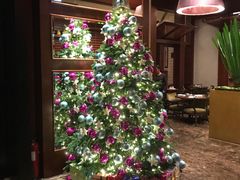 -香港尖沙咀凯悦酒店