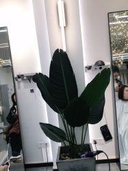 -FUTURE HN男士发型风格设计