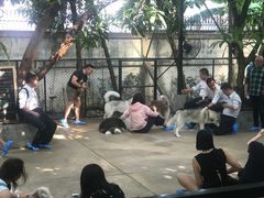 -TrueLove @ Neverland (Husky Cafe)