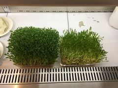 -半岛听涛蒸汽海鲜自助(K11店)