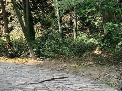 -雁荡山三折瀑景区