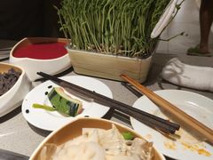 青青活体豌豆苗-海底捞火锅(正大乐城店)