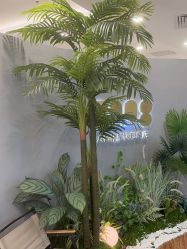 -八佰伴8008星级形象店
