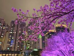 -西北湖绿化广场