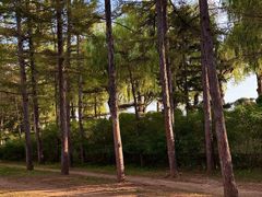 -长春市南湖公园