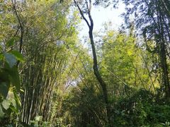 -广州市白云山风景名胜区