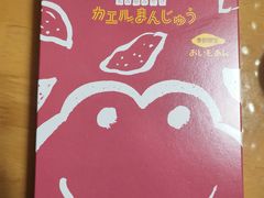 -中部国际机场