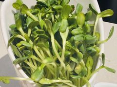 -浩爷羊蝎子火锅(望京店)