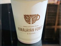 -喜马拉雅森HIMALAYAN FOREST