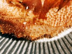 -鲤·鮨KOISUSHI