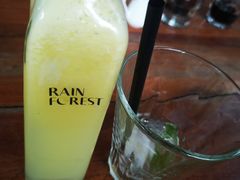 -Rainforest