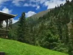-空中草原