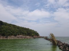 -巢湖姥山岛