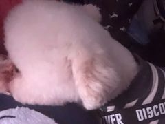 -惠康宠物医院(华能路店)