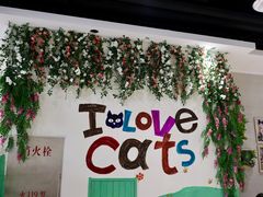 -藏猫猫咖啡主题馆(中央大道店)