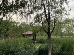 -永定河休闲森林公园