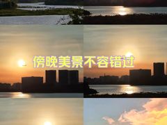 -立新湖公园