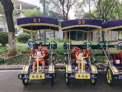 -昆山城市生态森林公园