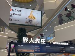 -野人先生Gelato(上海长宁龙之梦店)
