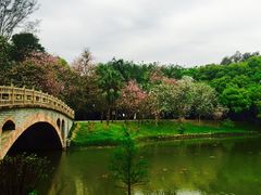 -华南国家植物园-售票处