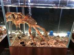 -璞御·海鲜·雪花牛肉局(宾水西道店)