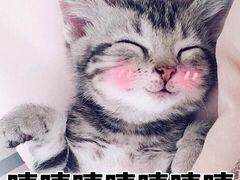 -MIKAKU(万达广场上海宝山店)