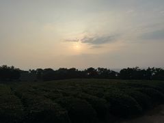 -南京市江宁方山