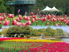-上海鲜花港