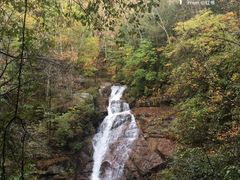 -北纬44度·金珠花海休闲农业旅游景区